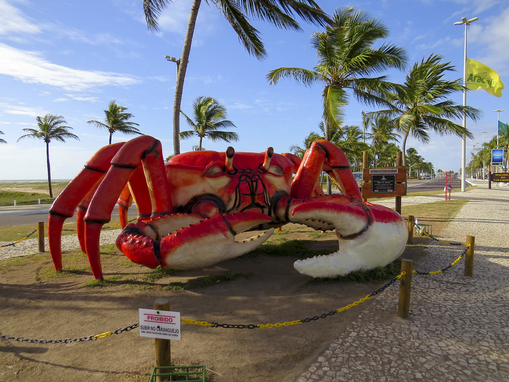 Aracaju e Reserva Boa Luz - Dia das Mães