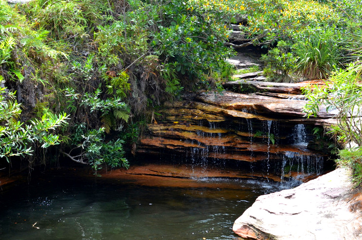 Chapada Diamantina - Capão e Cachoeira da Fumaça 